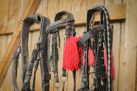 Bridle