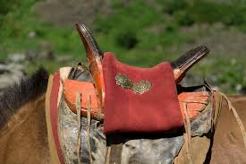 Saddle