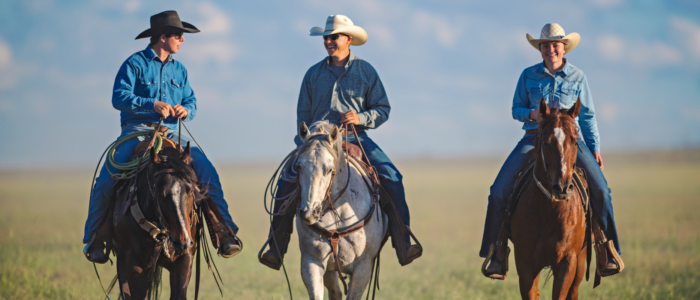 Real Estate Listings slideshow