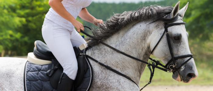 Real Estate Listings slideshow