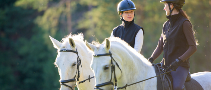 Real Estate Listings slideshow